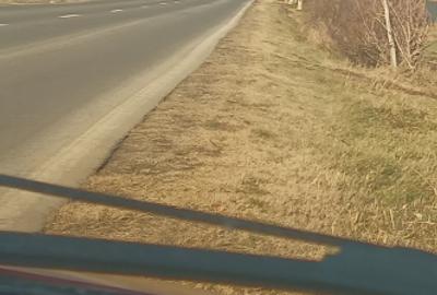 Teren Construcții intravilan de 1700 mp, în Cornești - 1