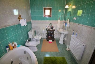 Vilă de vânzare - Valea Adâncă 235.000 EUR - 8