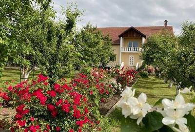 Casă cu 4 camere în Sânpetru - 8
