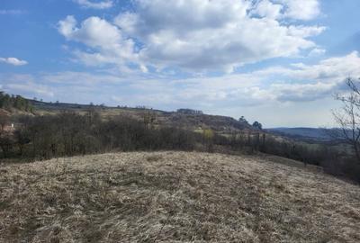 Spațiu comercial, în Țeline - 1