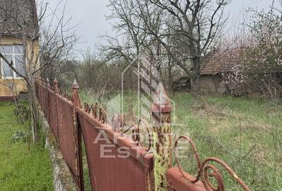 Casă cu 5 camere cu Teren 3383 Mp în Remetea Mare - 11