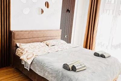 Apartament cu 2 camere decomandat în Doamna Ghica - 1