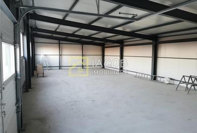 Hala cu suprafata de 146 mp in Hemeius, jud. Bacau - 2