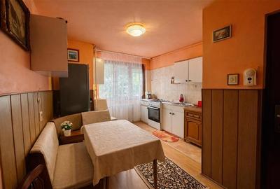 Apartament cu 2 camere semidecomandat, mobilat în Tudorul Vechi - 3