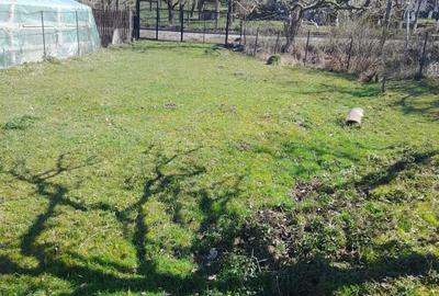 Casă cu 2 camere în Roșu - 6