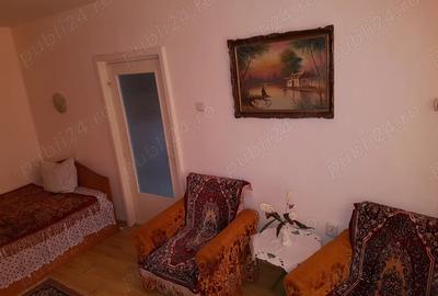 OFERTA RARA! Apartament 2 Camere (din 1) - Renovare Premium, Izola?ie, Central, Braila - 9