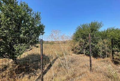 Teren intravilan 1174mp in Dudovicesti cu deschiderea de 41m POT 35% CUT 1,05 - 5