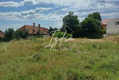 Teren intravilan de vanzare in Saliste - 2