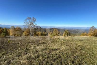 Teren de 6360 mp, în Central - 3