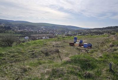 Spațiu comercial, în Baciu - 8