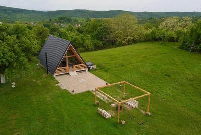 Casă cu Teren 7000 Mp în Aluniș - 8