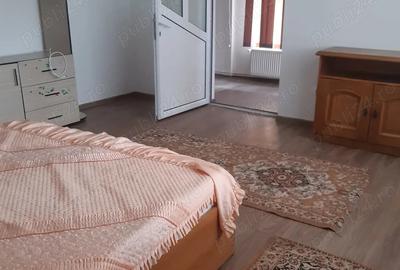 Casă cu 2 camere în Șagului - 3