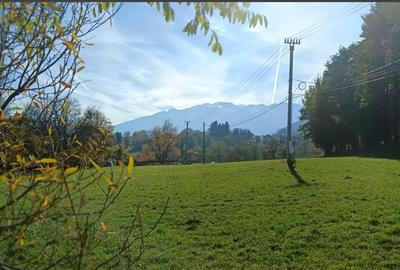 Teren intravilan zona Bran,Tohanita - 4