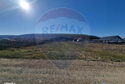 Teren de 2002 mp, în Hemeiuș - 8