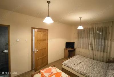 Casă cu 6 camere în Eșelnița - 14