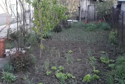 Casa de vanzare - 3