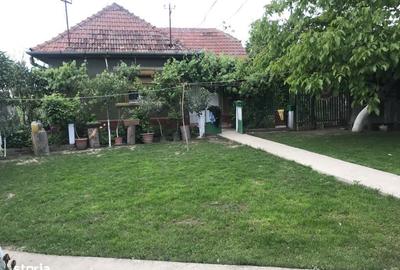 Casă cu 2 camere cu Teren 1900 Mp în Tulca - 5