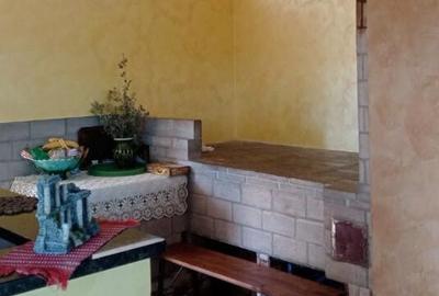 Vila in Rusii Manastioara - 4