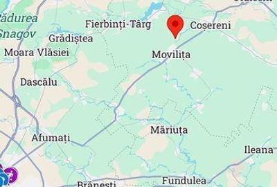 Teren de 11000 mp, în Movilița - 5