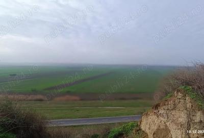 Casă cu Teren 3800 Mp în Central - 5