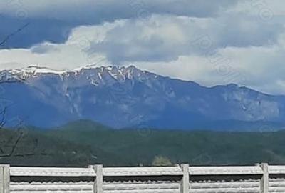 Teren de 8000 mp, în Drăgoești - 1