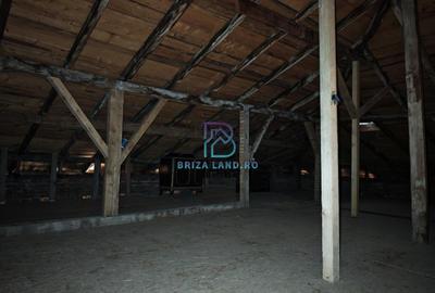 Casă individuală cu 5 camere cu Canalizare în Bucureștii Noi - 7