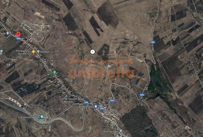 Teren de vanzare extravilan Valea Chintaului - 3