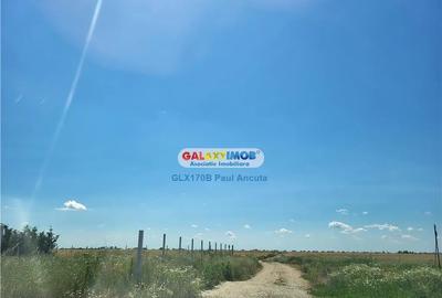 Teren de 10000 mp, în Balotești - 2