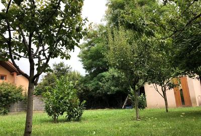Teren P+1E zona Dambovita | 306 mp | FS 17m | langa Mall Shopping City - 3