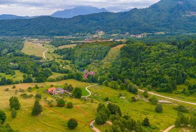 Teren Parcul National Bucegi/Str Glajarie Rau Mare/Panicel/Sohodol