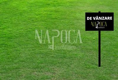 Teren intravilan pentru constructii de vanzare in Gruia, Cluj Napoca - 2
