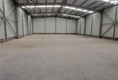 Spațiu comercial, de 460 mp, în Balotești - 1