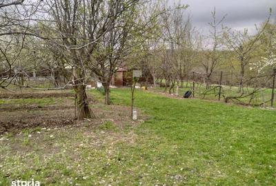 Teren de 803 mp, în Ciurila - 2