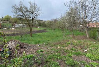 Casă cu 2 camere în Ulieș - 5