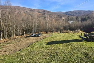 Teren de 500 mp, în Văliug - 3