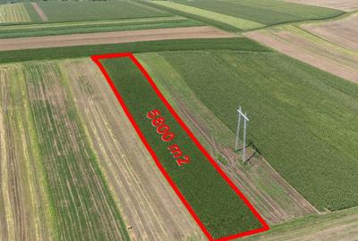 Teren agricol 5800mp - 5