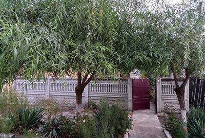 Casă cu 2 camere în Roșiori de Vede - 5