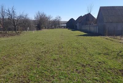 Teren în Central - 1