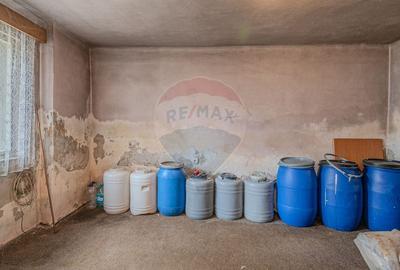 Comision 0 | Casa cu 3 camere, teren 1541 mp, livada, beci si garaj - 20