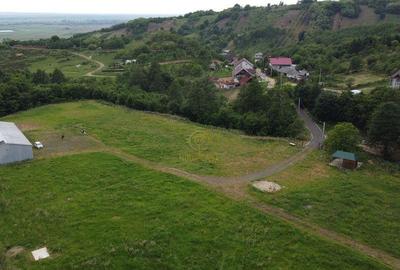 De vanzare Proprietate Unica In Maramures la 20km de Baia... - 4