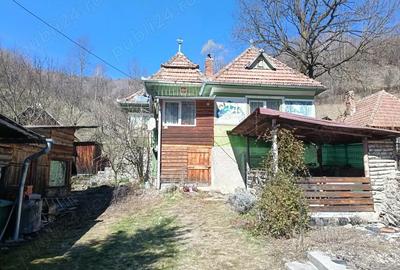 Casă cu 3 camere în Muntele Băișorii - 8