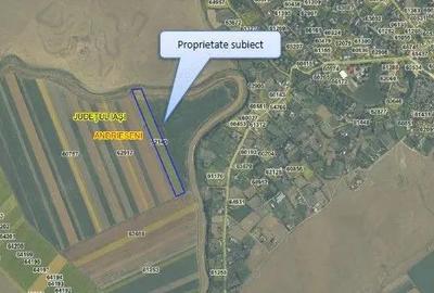 Teren de 20000 mp, în Andrieșeni - 10