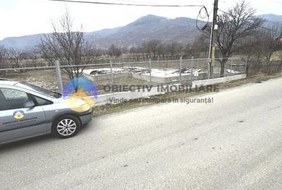 TEREN cu temelie ciment  PANGARATI - STEJARU - 9