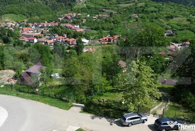 Casă cu 3 camere cu Teren 4300 Mp în Ampoița - 14