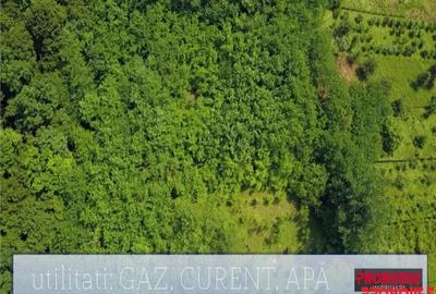 Valea Budului - Teren intravilan. Lac. Padure - 7