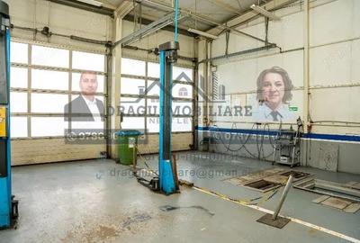 Structura metalica tip showroom/service Tecuci demontabila - 7