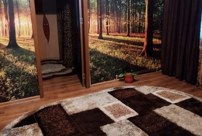 Apartament 2 camere Cantemir, etaj intermediar, renovat - 9