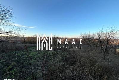 Casă cu 4 camere cu Teren 2359 Mp în Ohaba - 7
