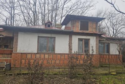 Casă cu 3 camere în Dâlga - 2