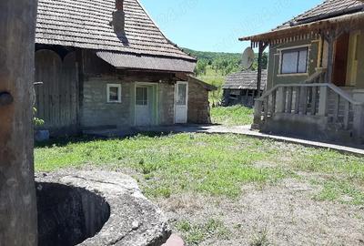 Casă cu 3 camere cu Teren 4000 Mp în Tămașa - 7